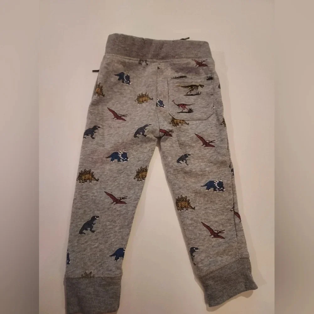 Free Plant Baby Boy 2 Piece Dinosaur Theme Hoodie and Jogger Set in Size 24M